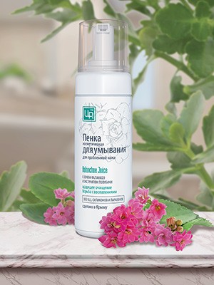 Пенка для умывания «Kalanchoe Juice» для проблемной кожи